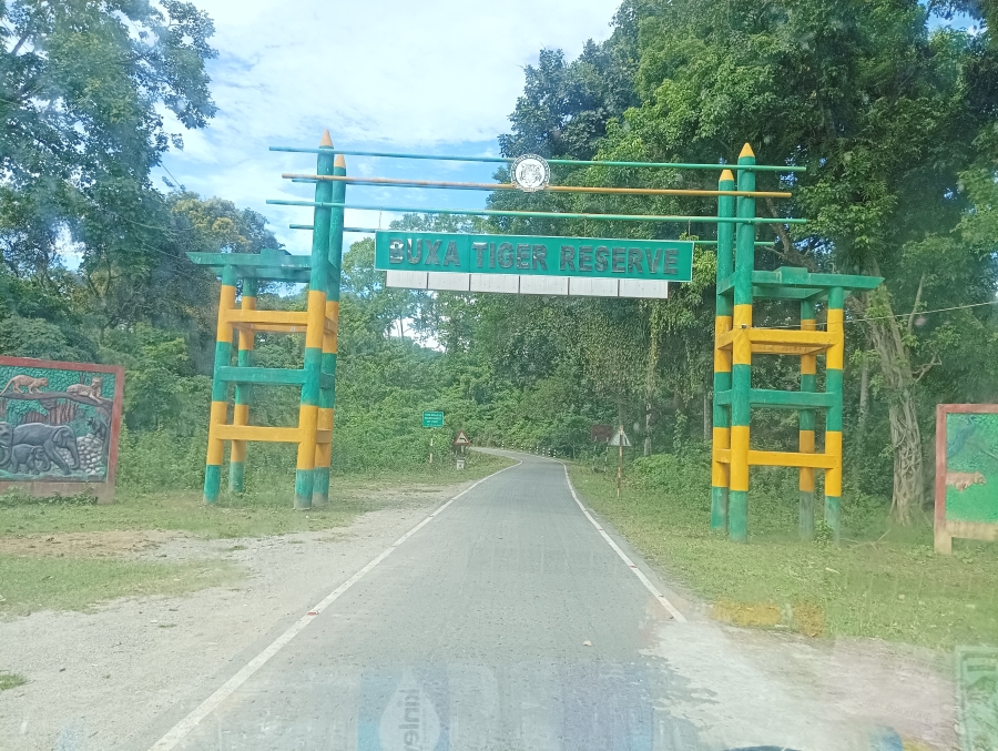 Dooars Tour Package  2 Nights / 3 Days - image 2