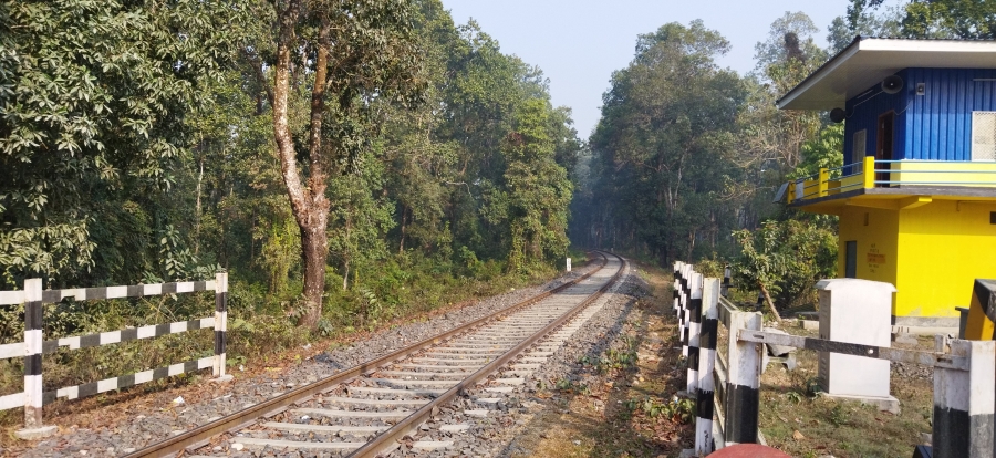 Dooars Tour Package  2 Nights / 3 Days - image 3