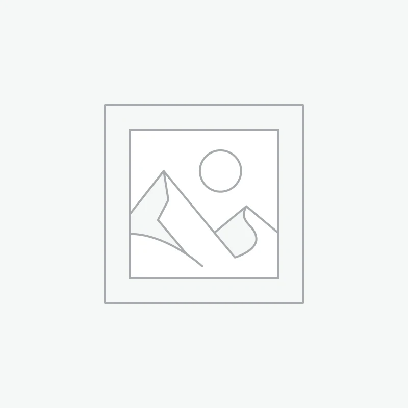 Accounting & Finance