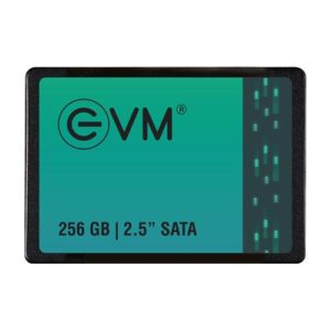 EVM 256GB 2.5 Inch SATA SSD
